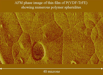 AFM image of spherulites